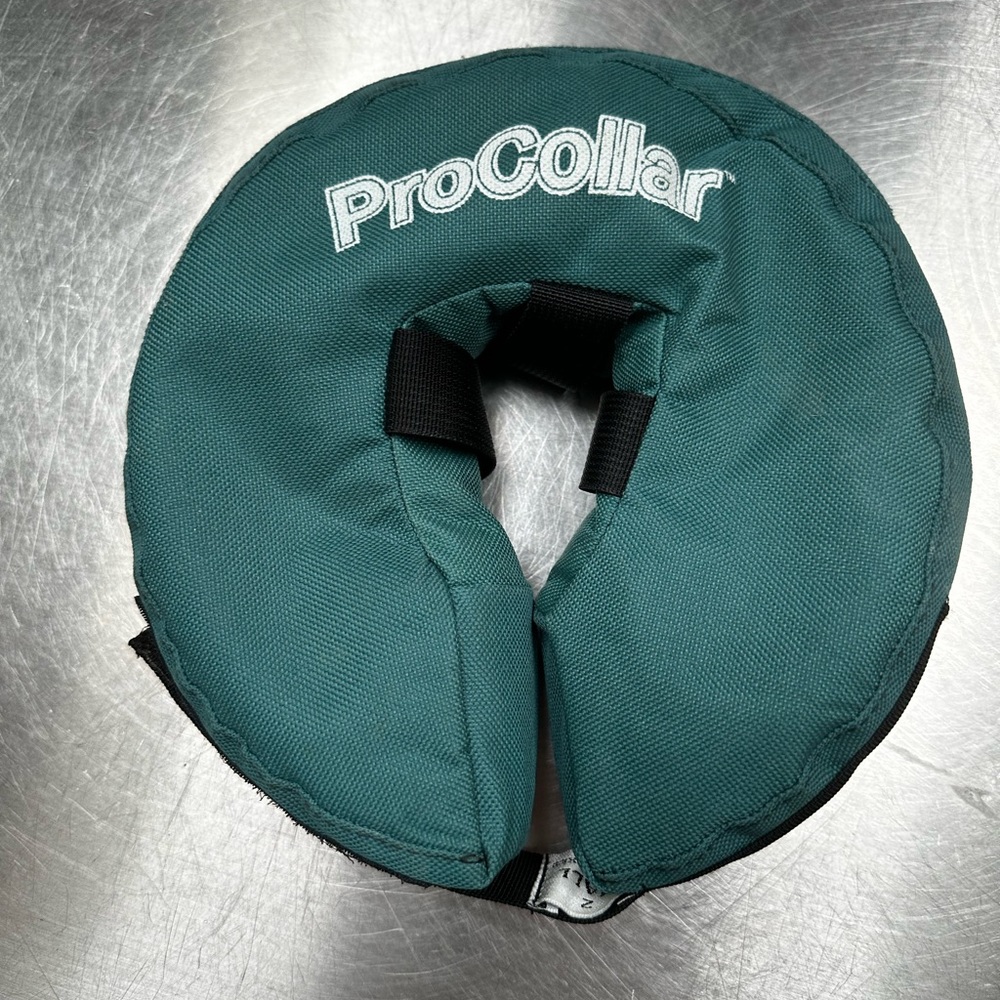 Inflatable dog collar size 2